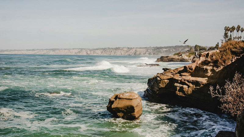 La Jolla Open Aire Market